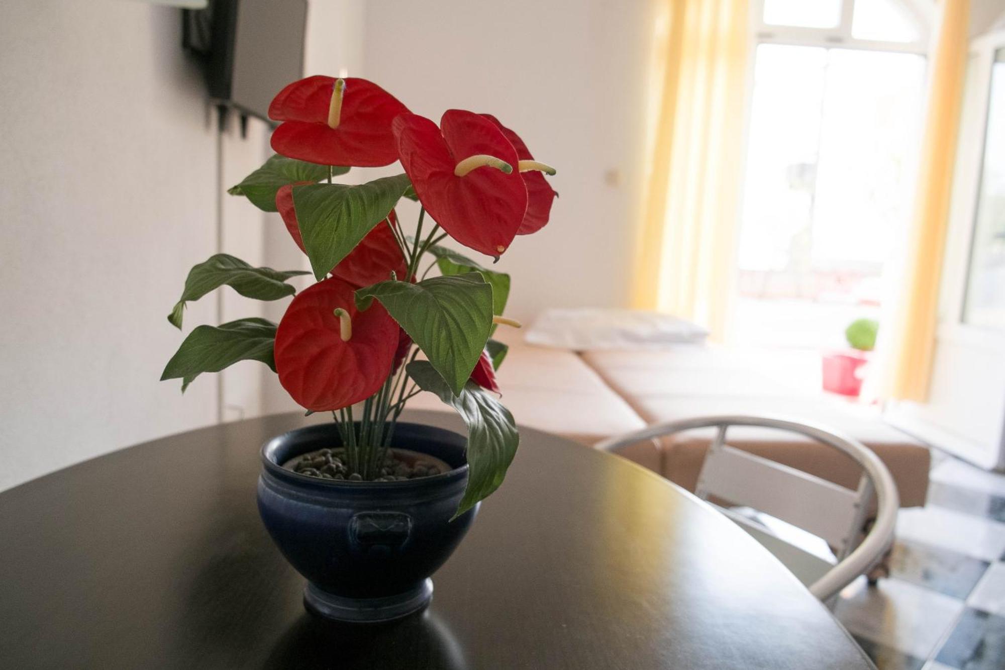 Apartments Damjanovic Makarská Pokoj fotografie